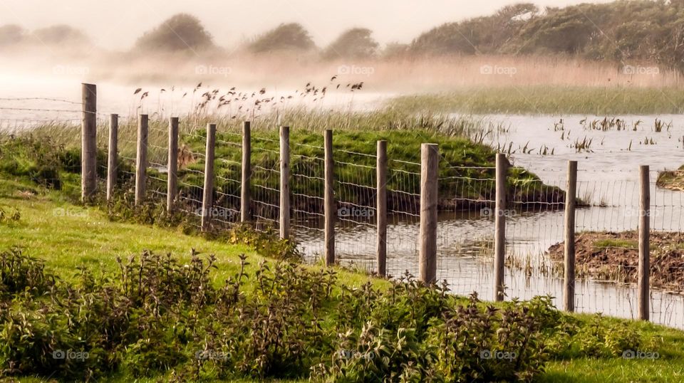 A rural scene on a misty morning in Winchelsea, UK 