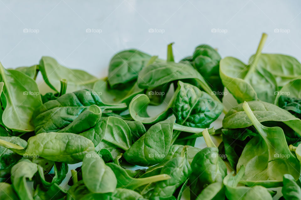 Fresh green leaves of spinach is a source of vitamins and is good for healthy lifestyle.