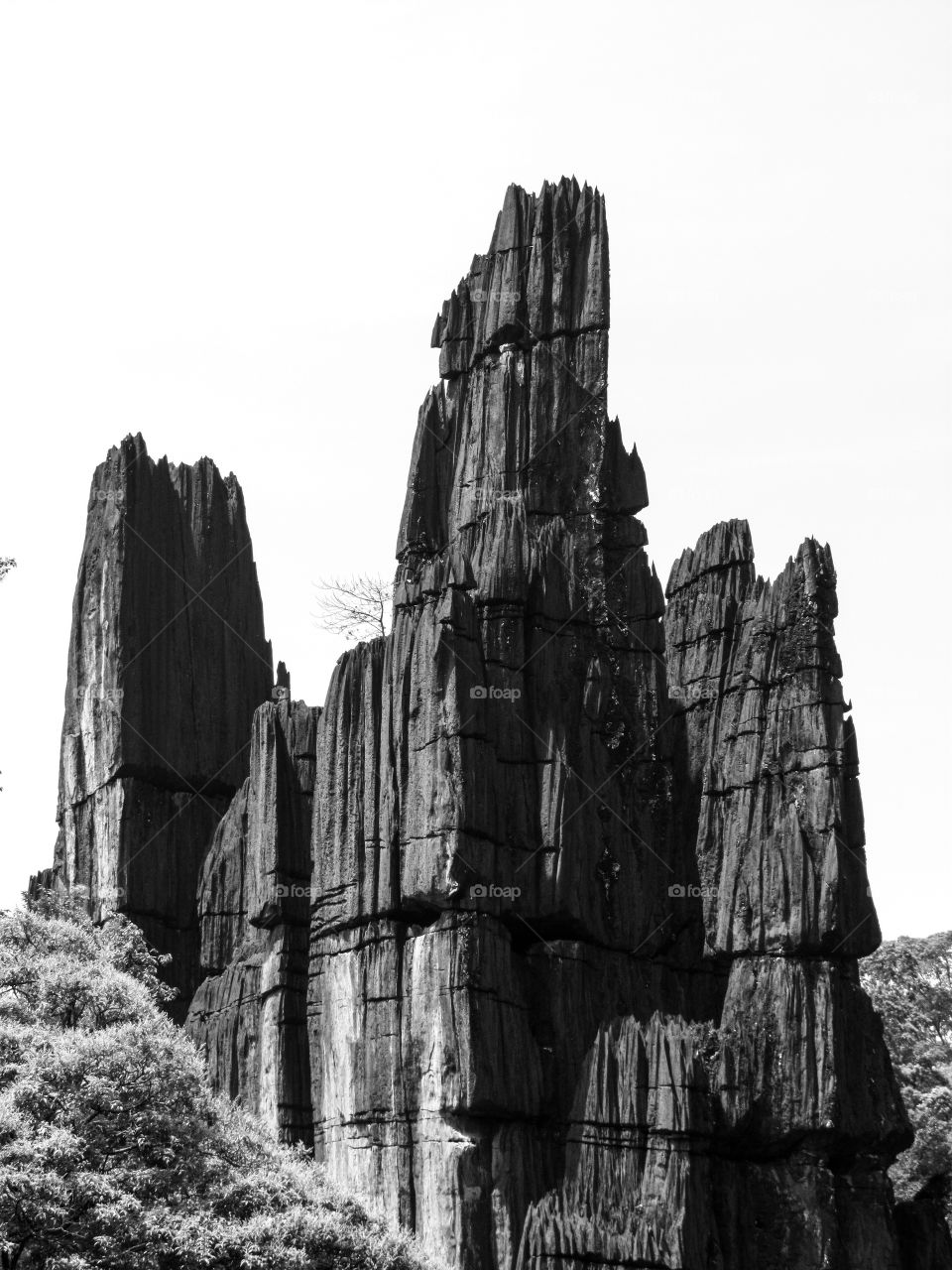 Yana located in Kumta,Karnataka, India which is famous for its unusual karst rock formations.