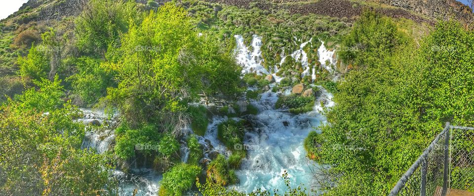 1000 Springs - Idaho 