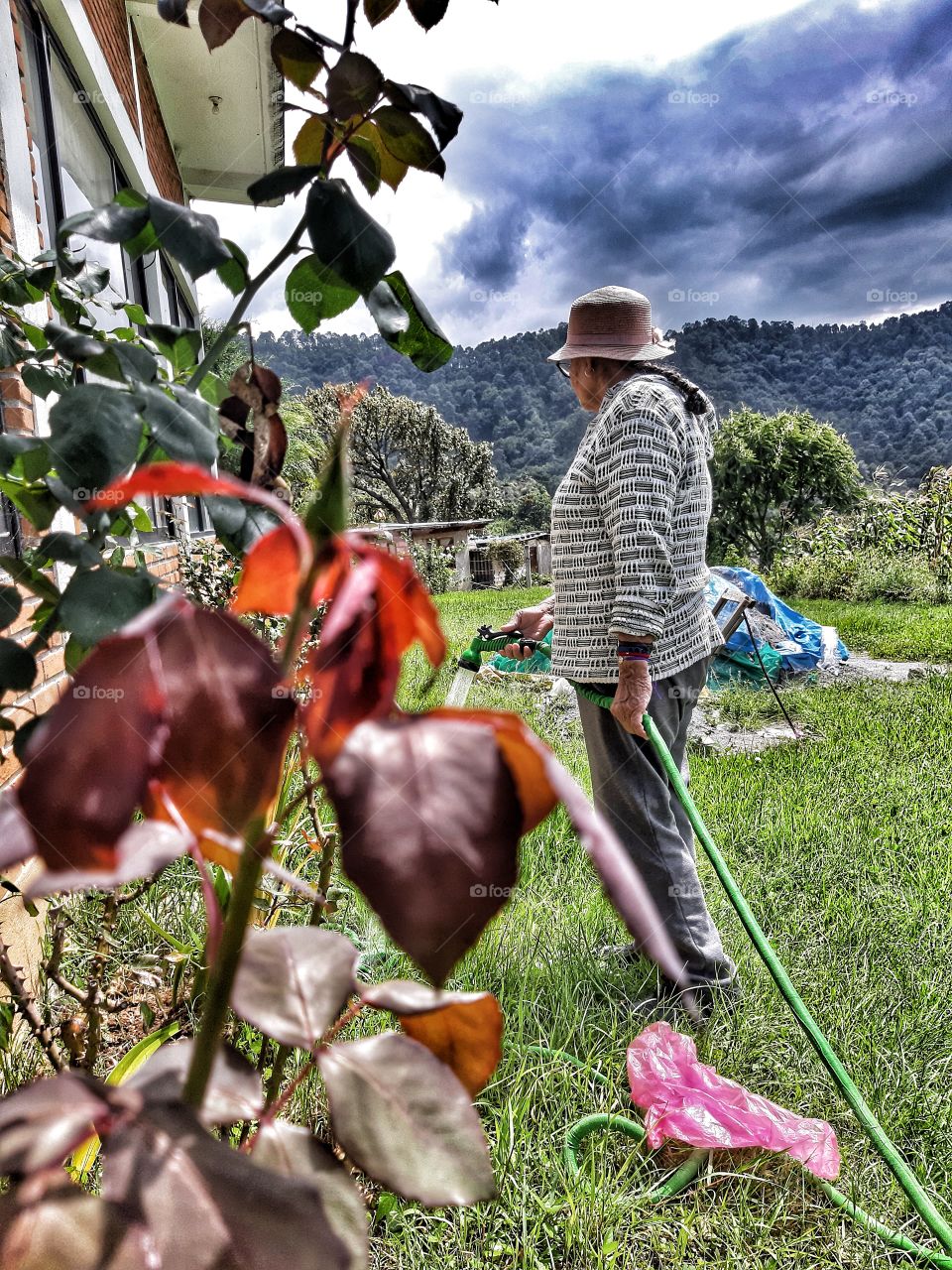 Como luz de un paisaje 🍂