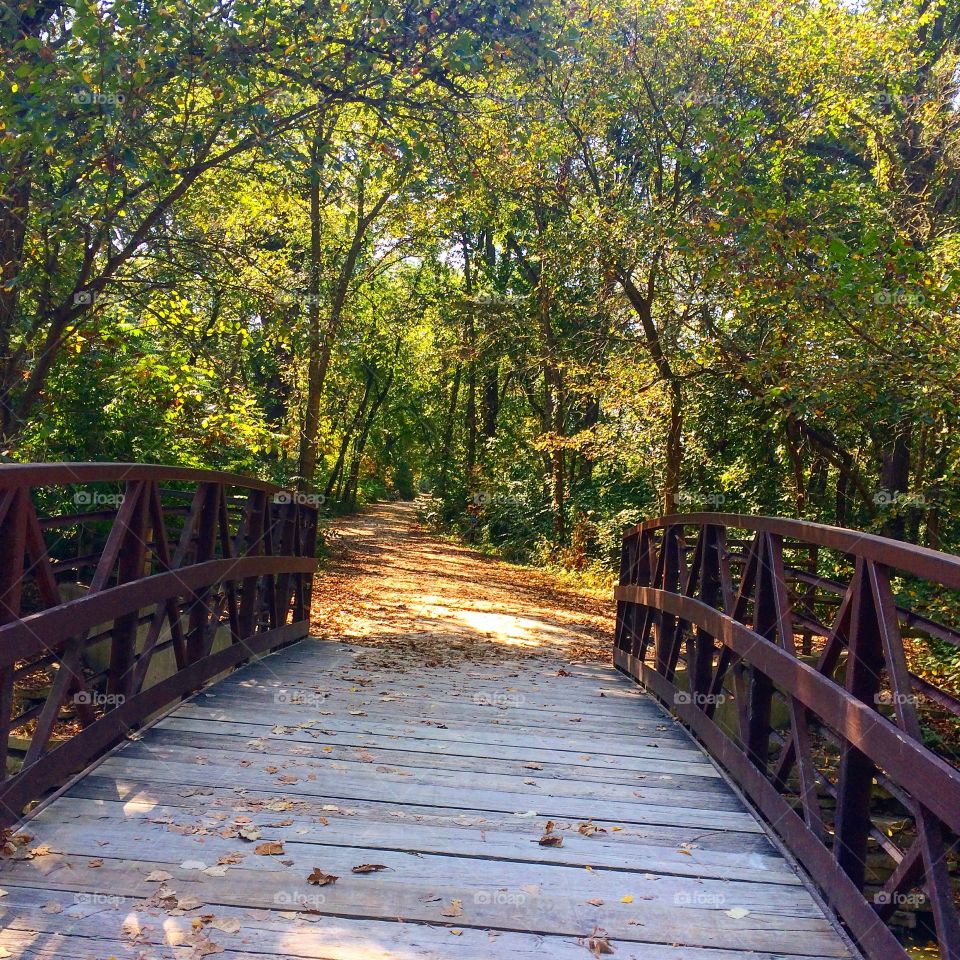 A bridge leading to another jogging trail 