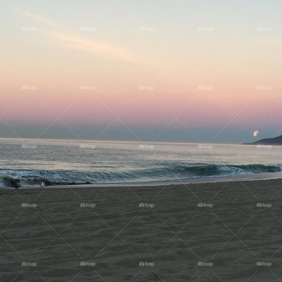 Super Blood Full Moon