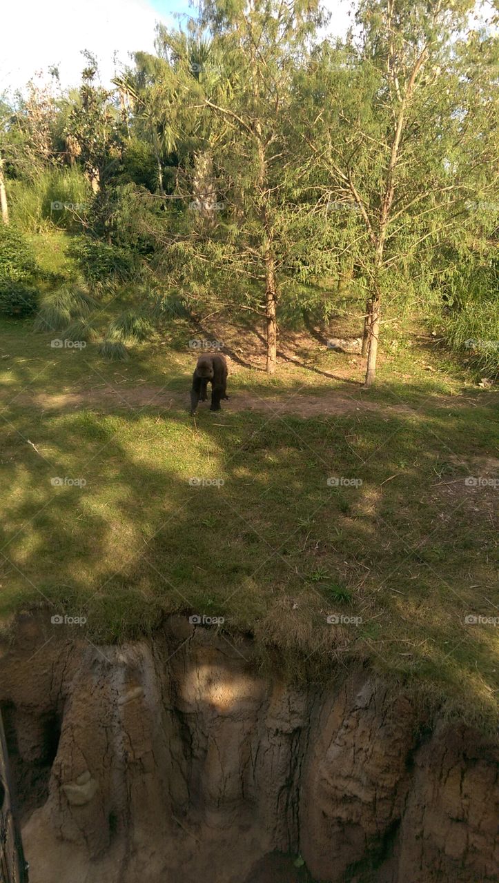 No Person, Landscape, Travel, Tree, Outdoors