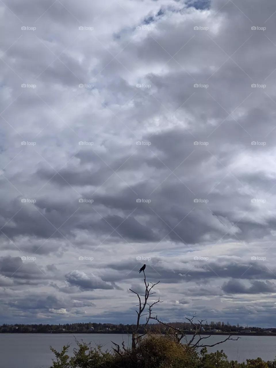 Dark sky