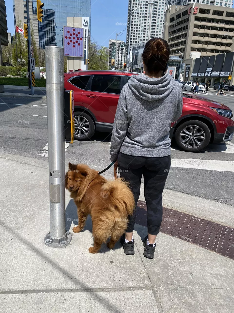 Walking 🐶