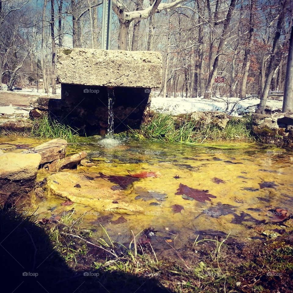 spring and all things green