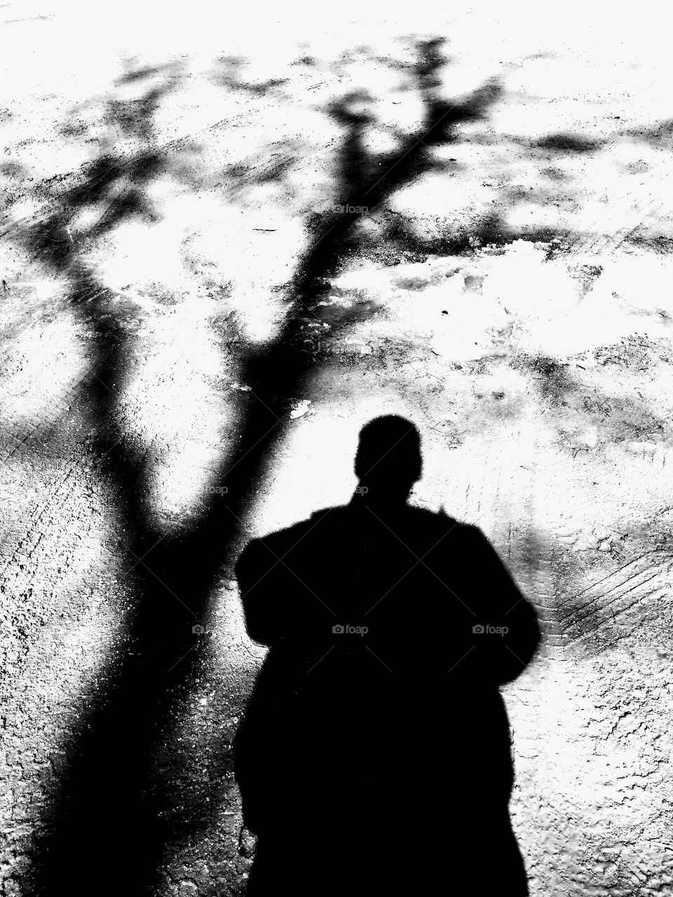 Shadow 