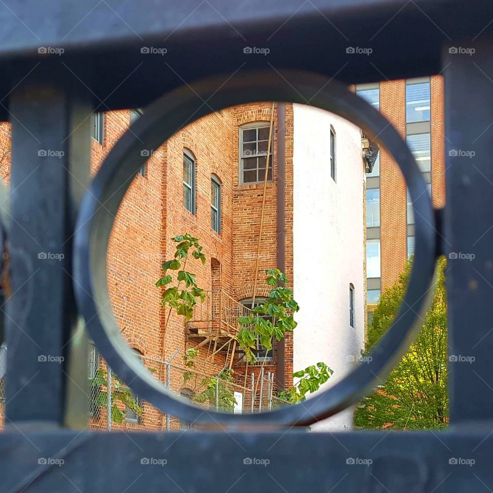 Through the hole a brick and tree view