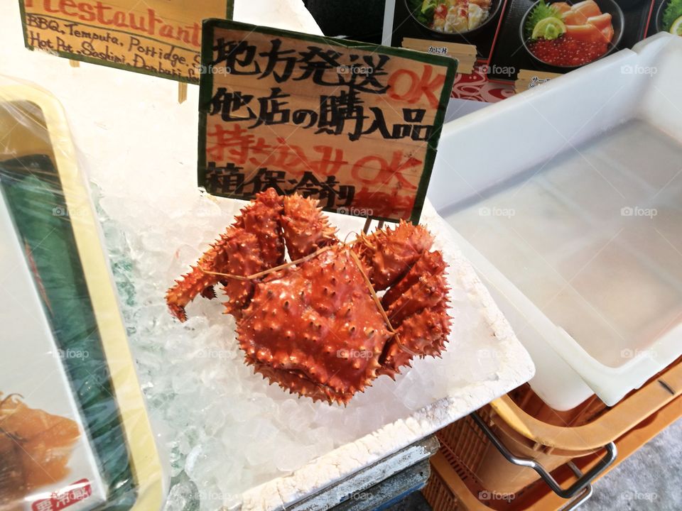Holy Crab!!!