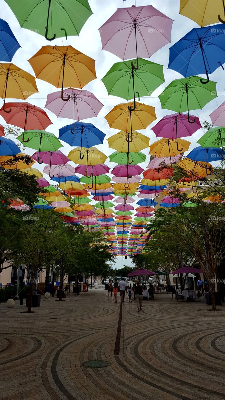The Umbrella Project - Coral Gables, Fl