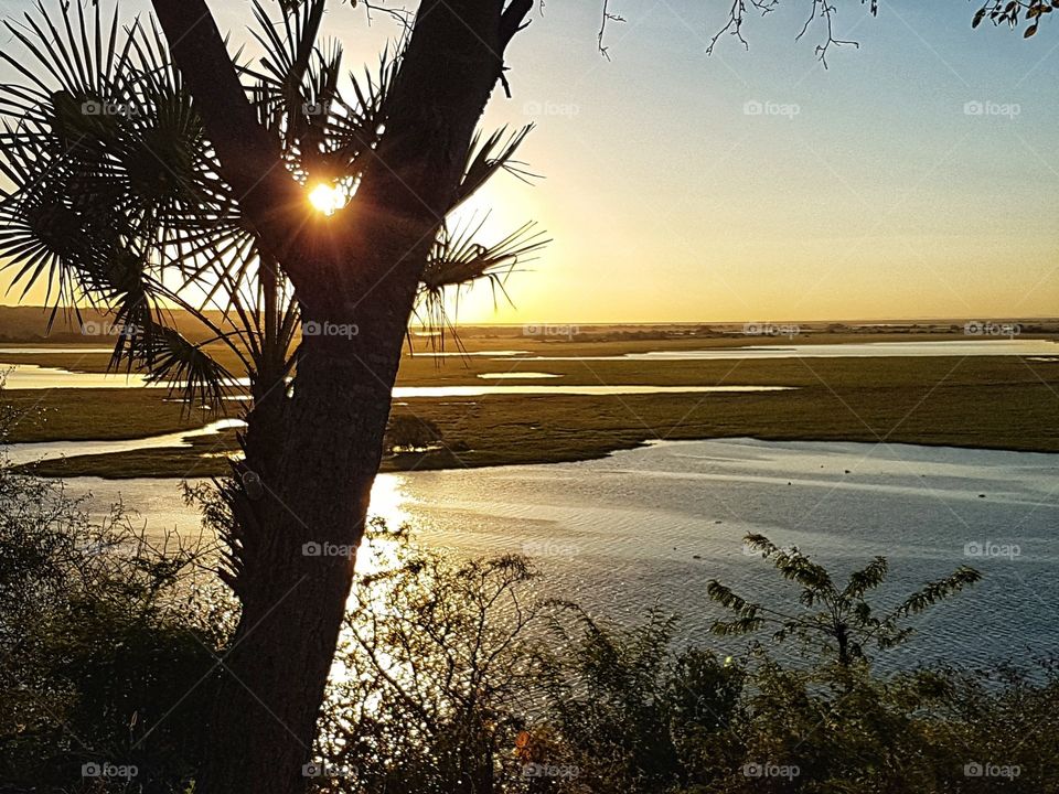 PANTANAL MS BRAZIL