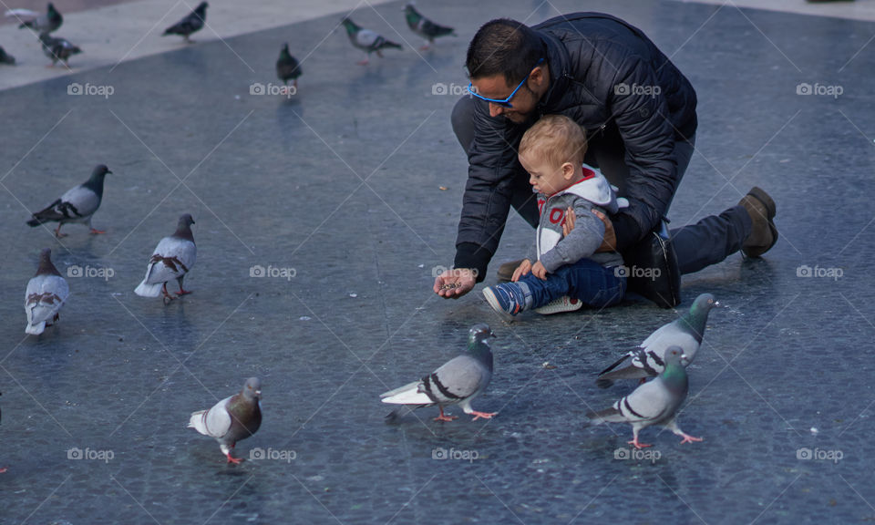 Father, Son and Pigeons 