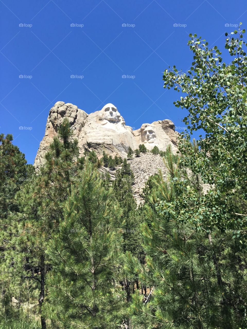 Mount Rushmore 