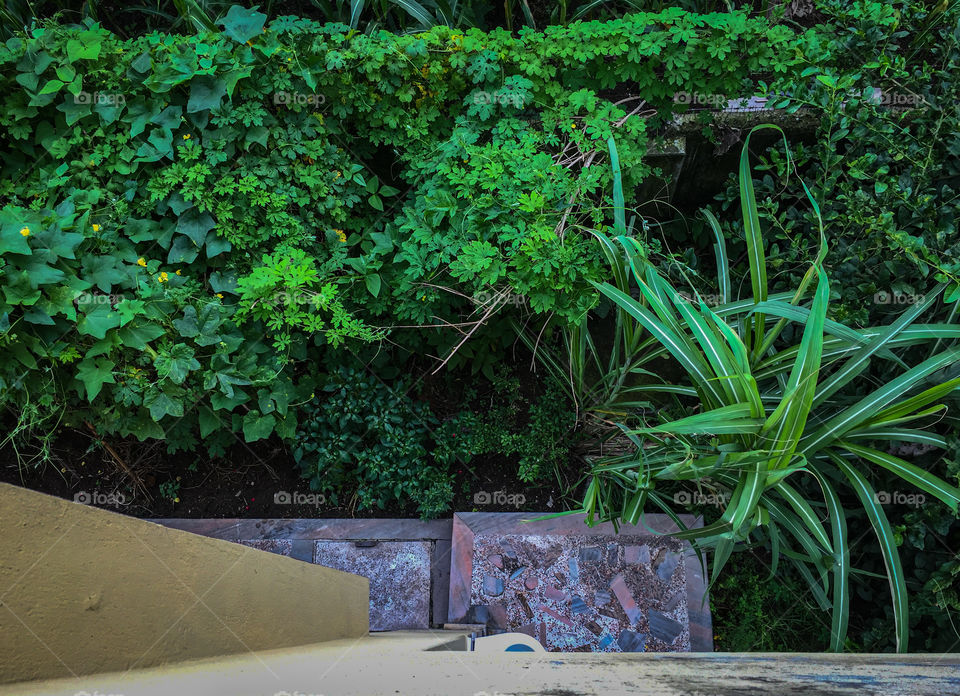 All we need to have, home vegetable garden this time. Stay home stay save.