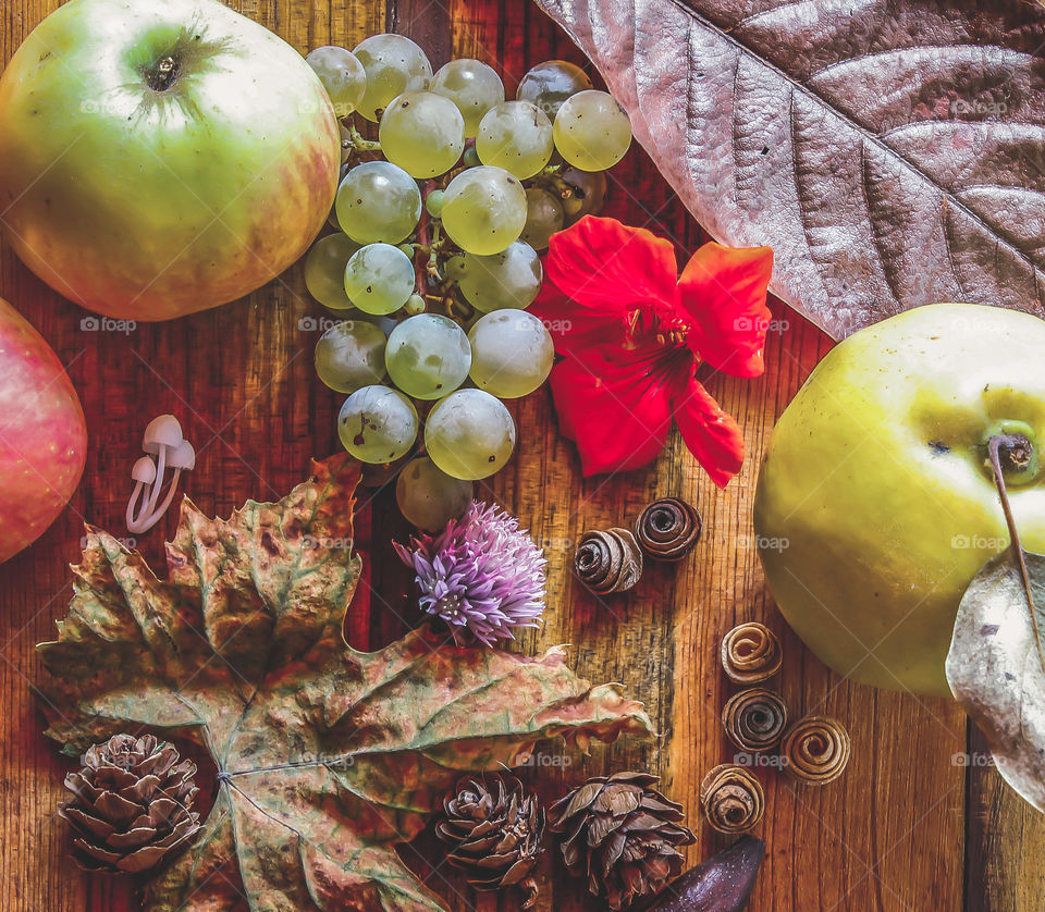 Autumnal flat lay, with harvest fruits, leaves foliage and fir cones on a wooden background