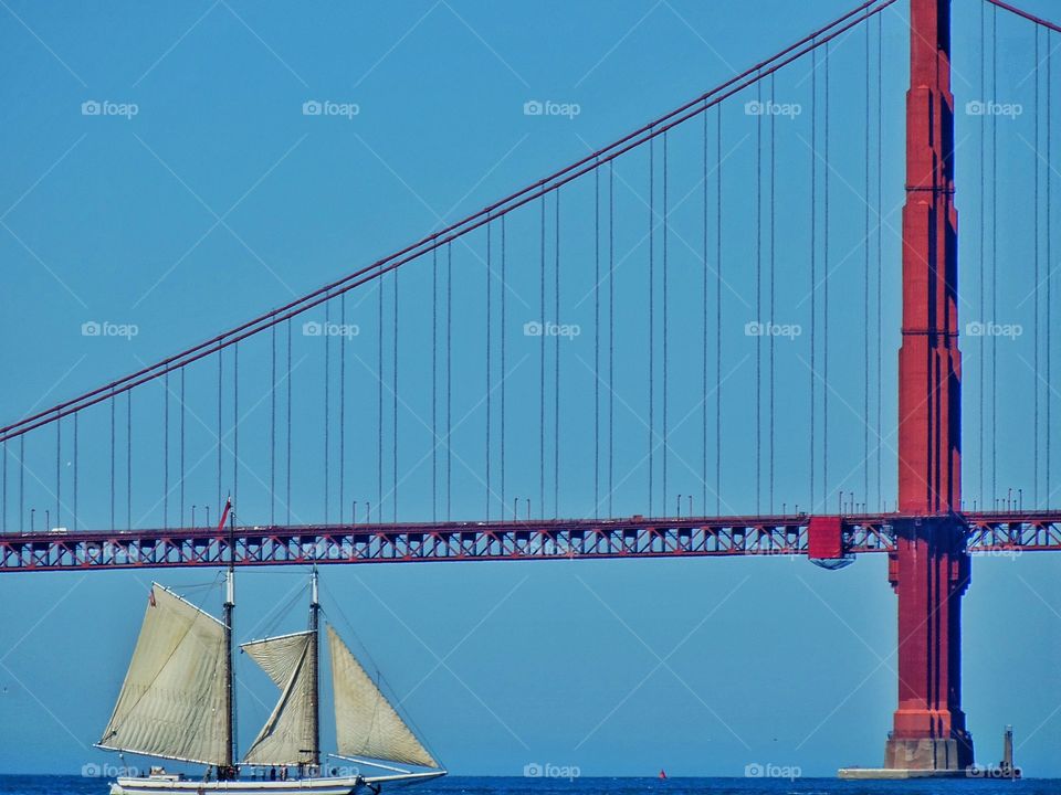 Sailing In San Francisco. Sailboat On San Francisco Bay Beneath Golden Gate Bridge
