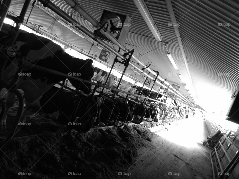 Grinder, Industry, Light, Steel, Production