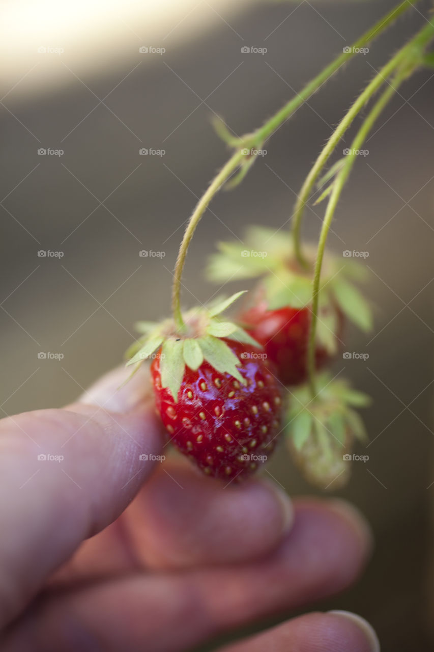 Close-up strawberries