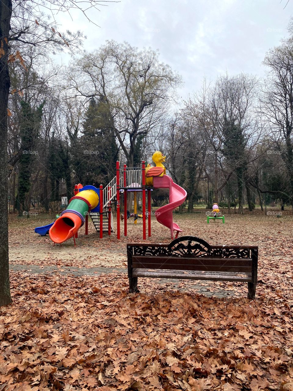 A quiet playground