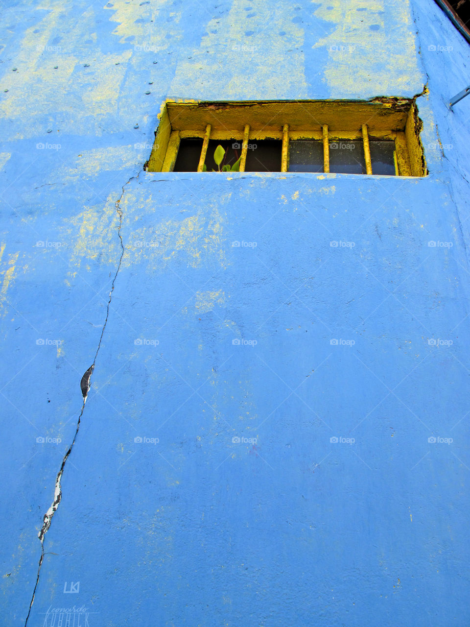 BLUE CRACKED WALL |* Leonardo Kubrick