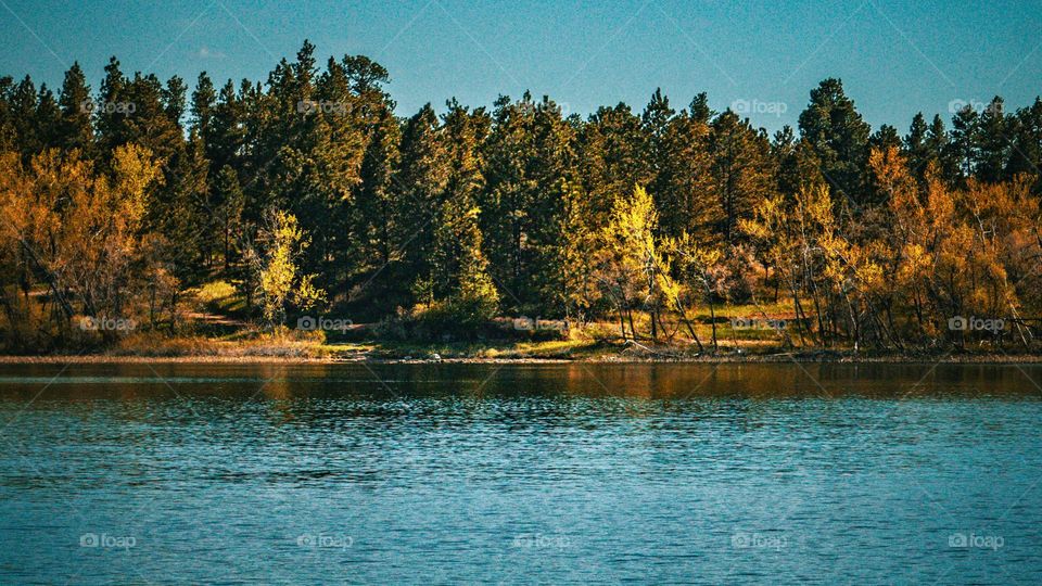 Pine tree range across the lake shore.