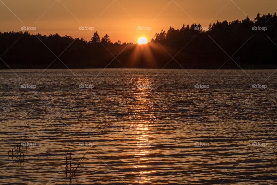 Beautiful sunset by the lake , vacker solnedgång vid sjö i skogen, Härlanda tjärn