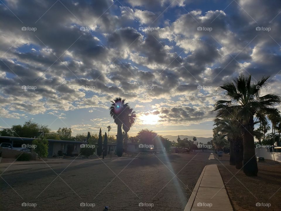 Road, Sunset, Tree, Landscape, Travel