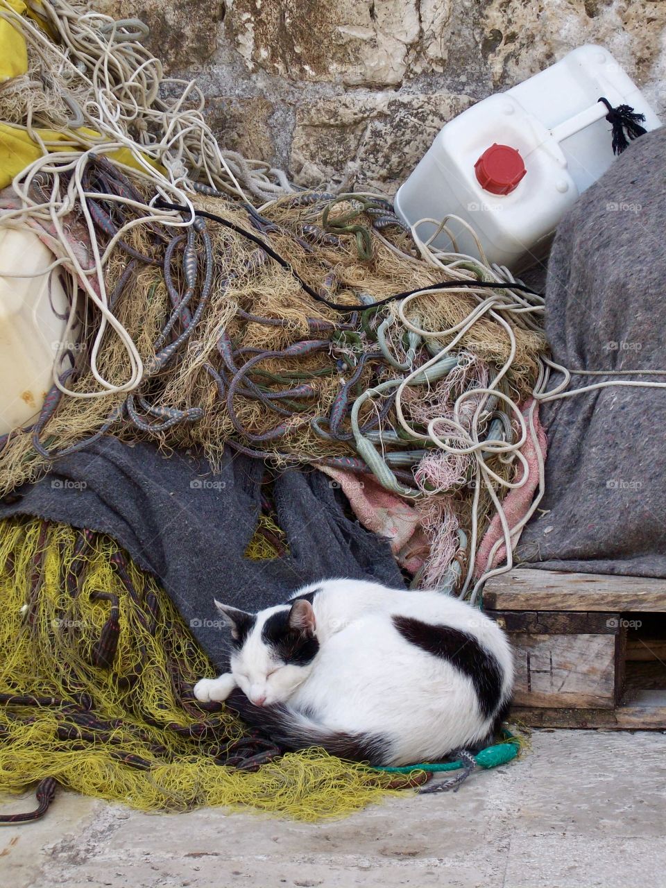 A Cat sleeping next to a fishing net pile