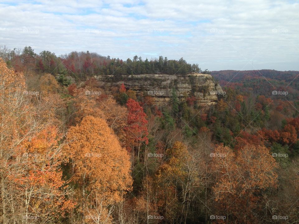 View from the top of the world. Hiking in Kentucky up to Natural Bridge on a beautiful November day.