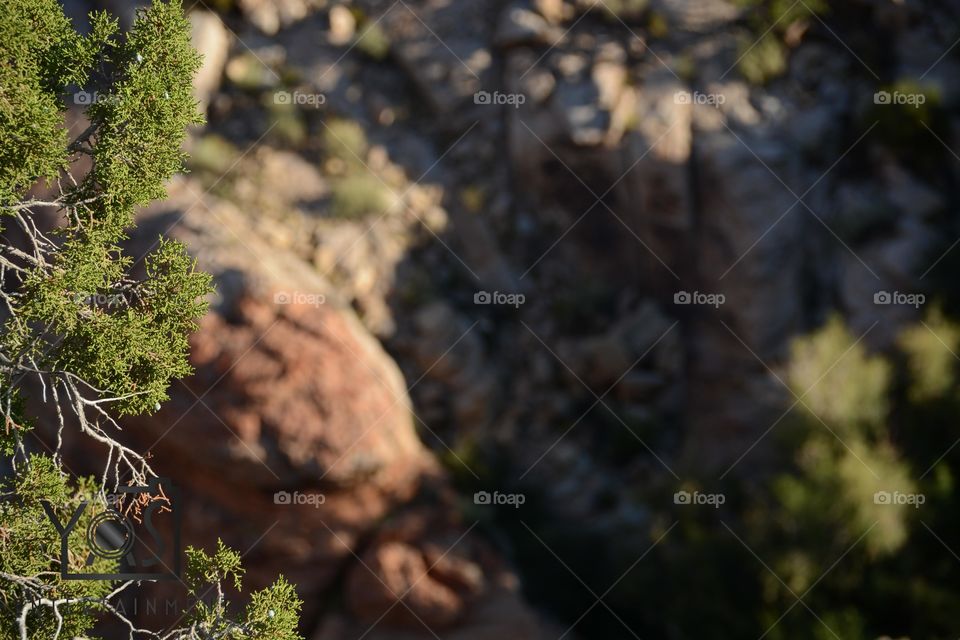 No Person, Outdoors, Tree, Nature, Rock