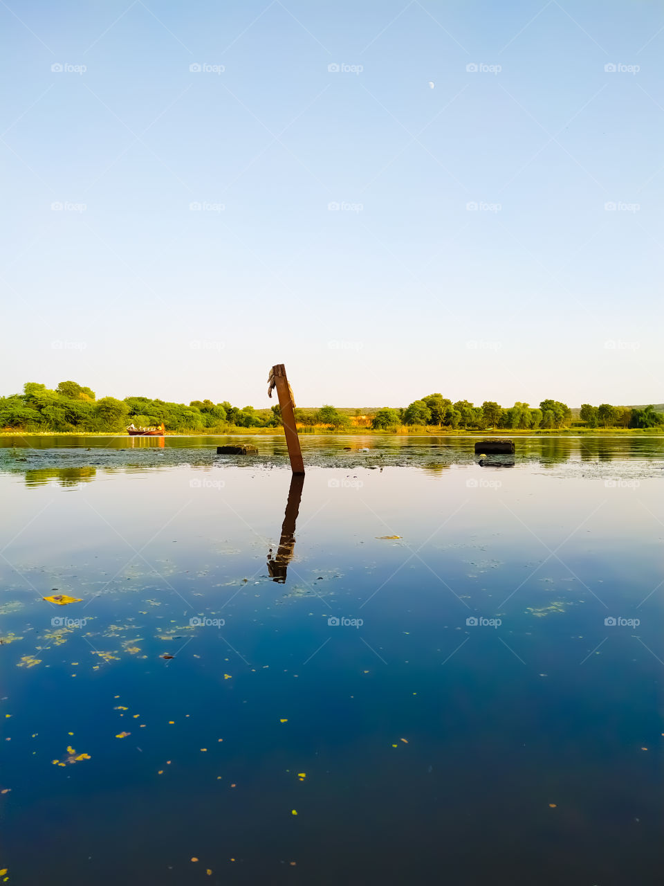 An iron pole in the middle of the river water with green trees along the river