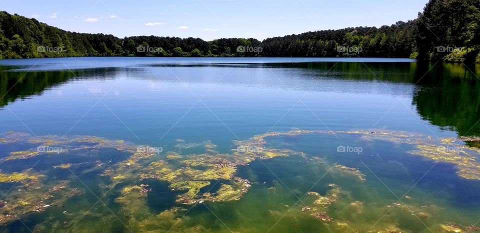lake view in Virginia