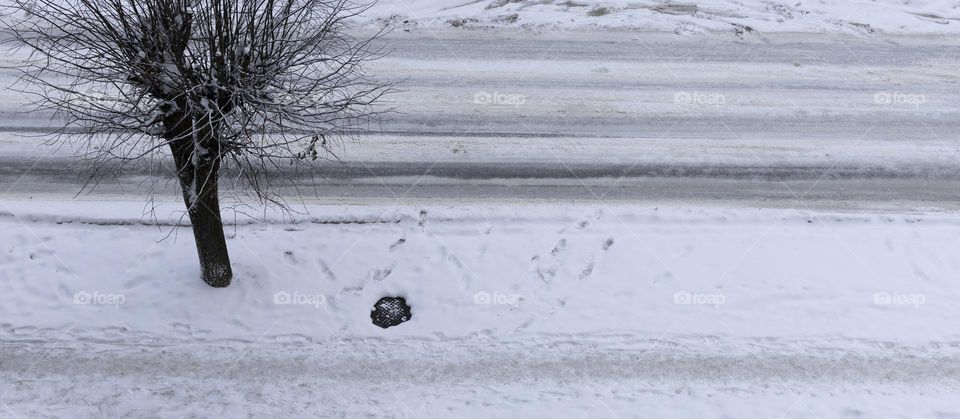 snowy road