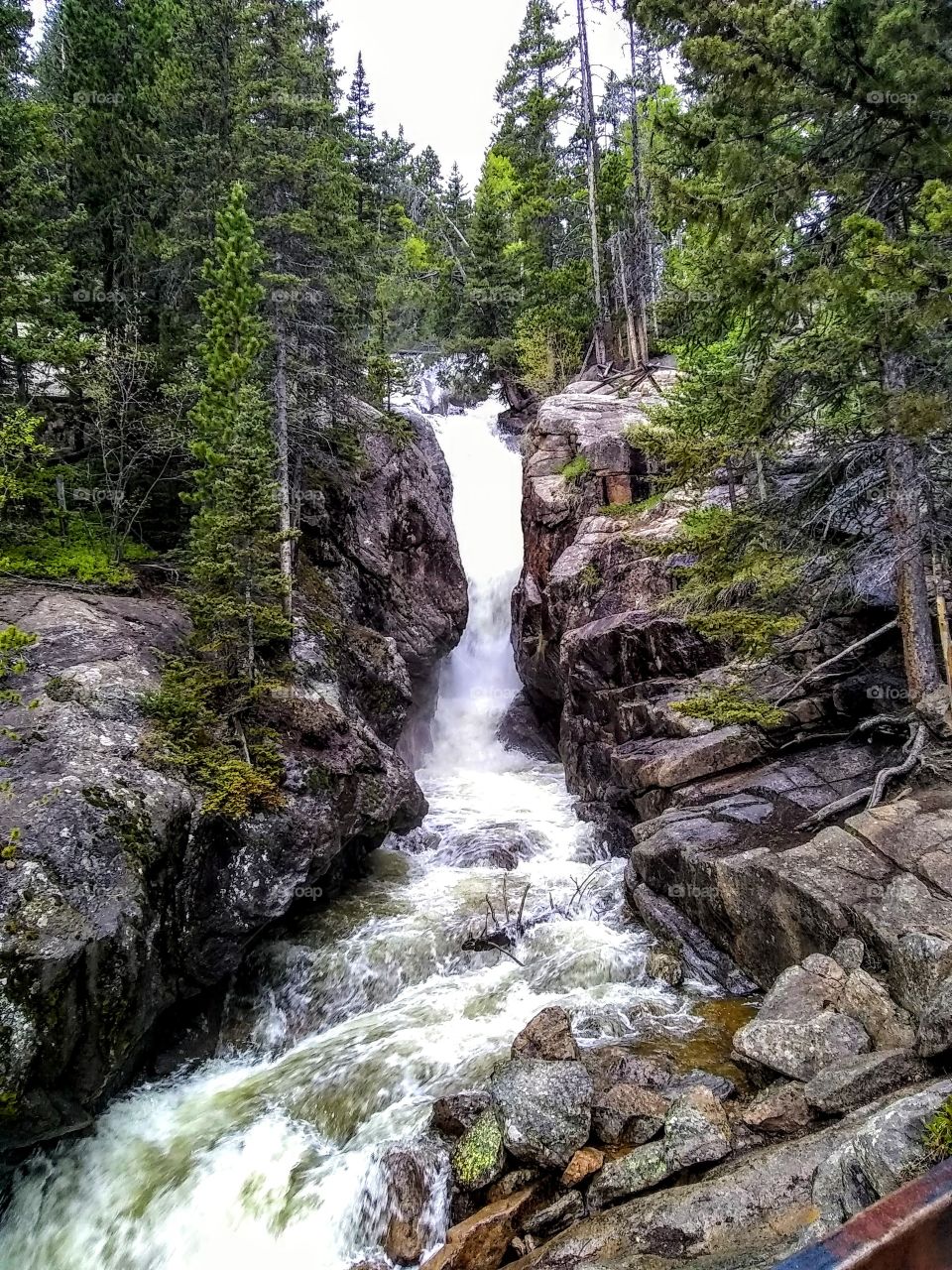Waterfall through untamed wilderness
