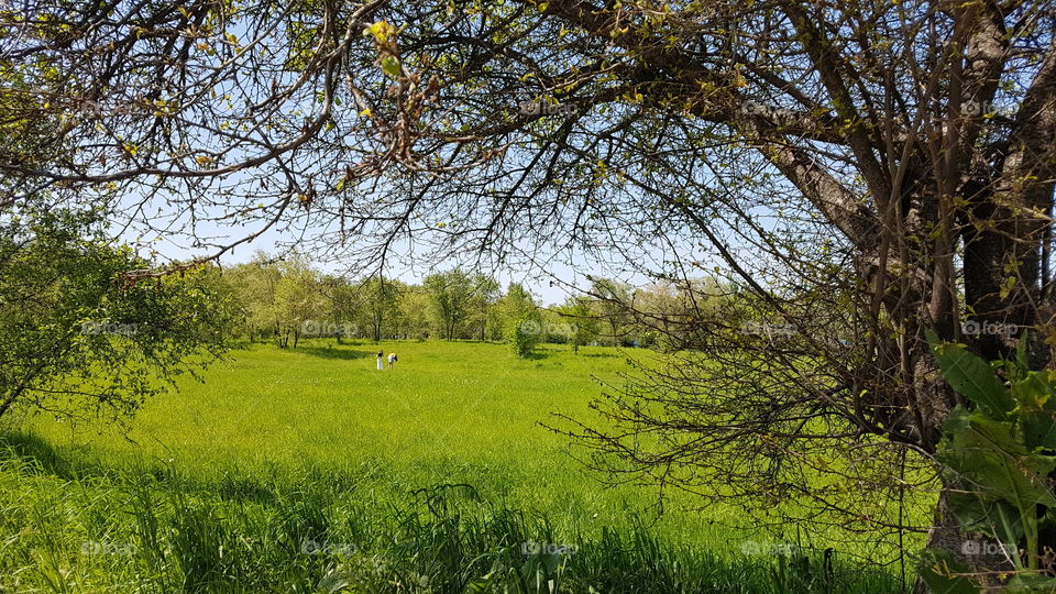 two girls in a spring park
