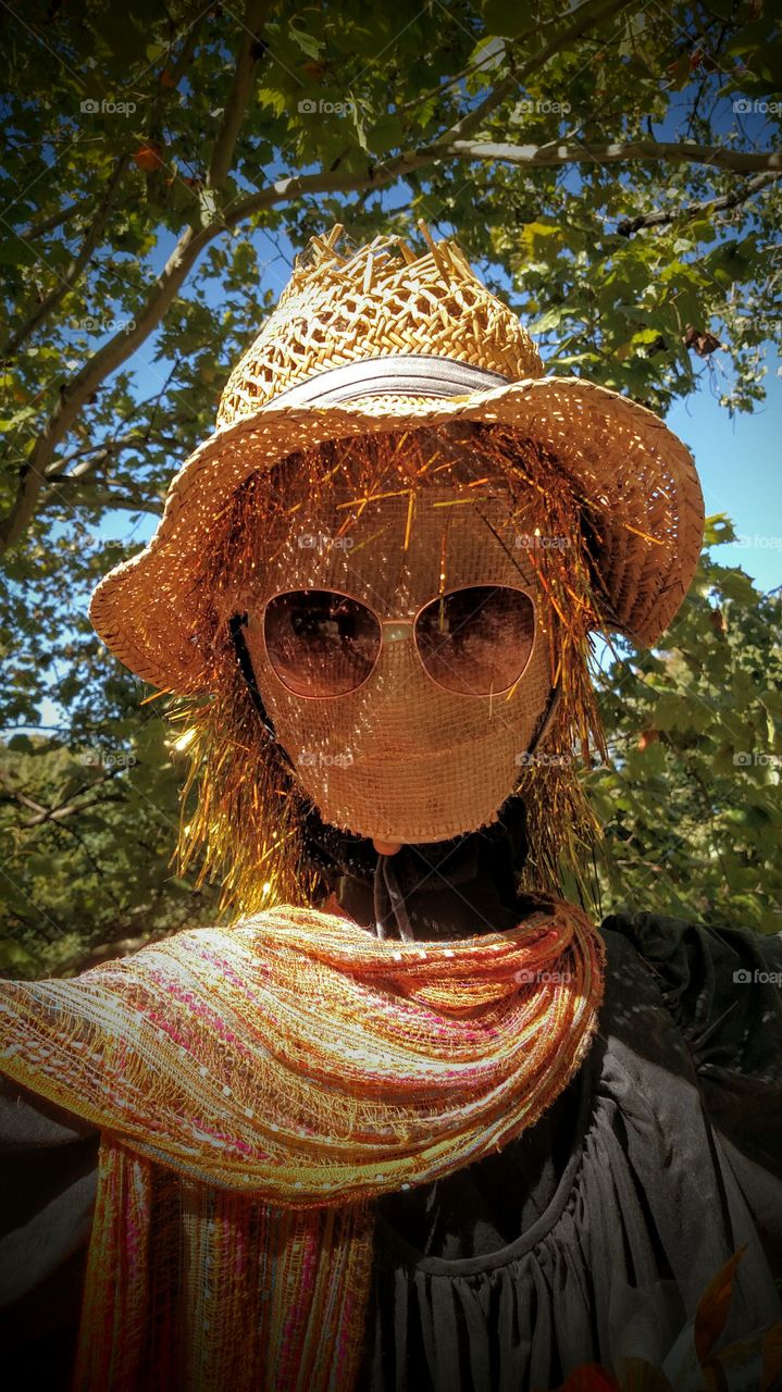 scarecrow