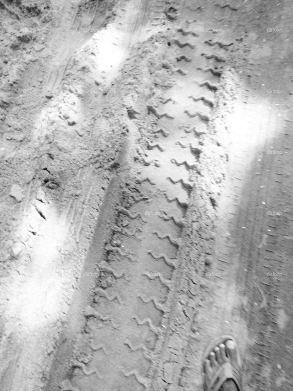 real picture,new art photo,classic picture,A great photo,a photo for everyone,a memorable photoa no.  photoa cherished photo,a beautiful photo,a great photo for the best people,a sample of beautiful photography,b&w,good b&w picture,