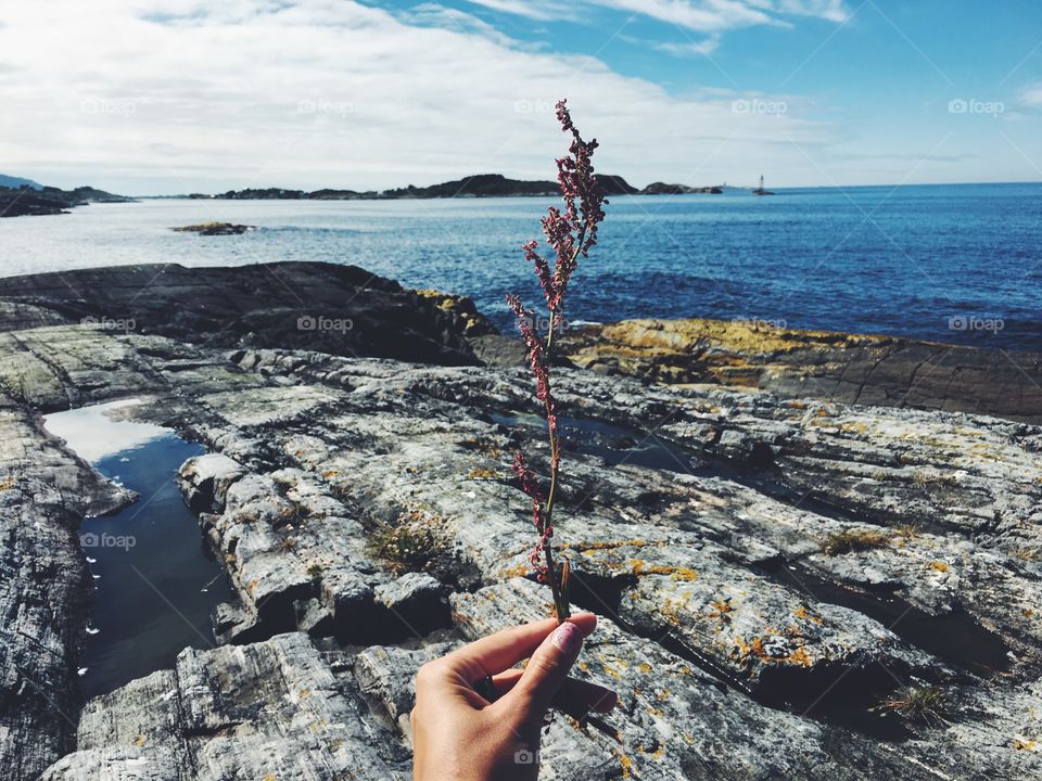 Person holding twig in norway