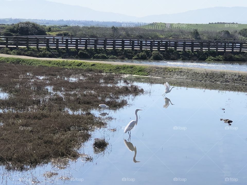 Water, No Person, Lake, River, Nature