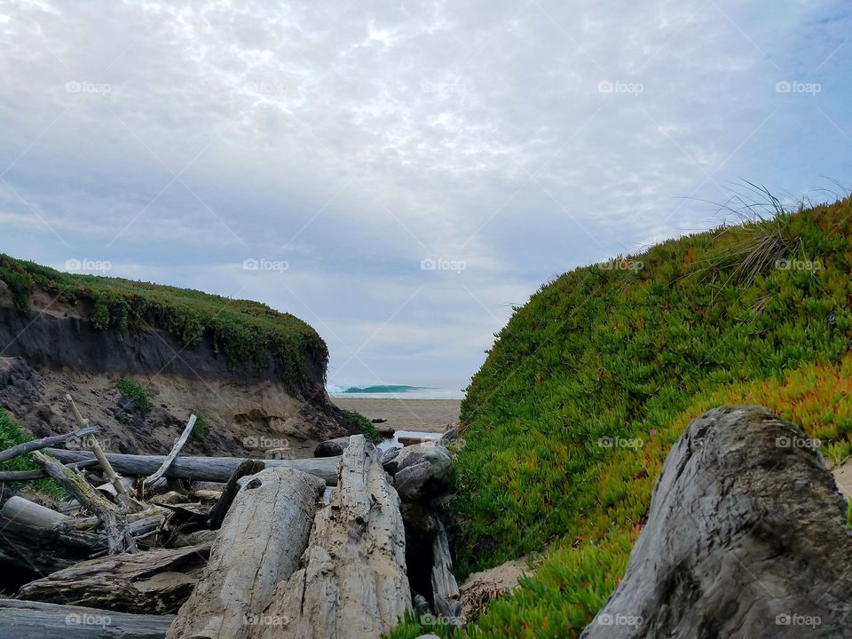 Point Reyes coastline