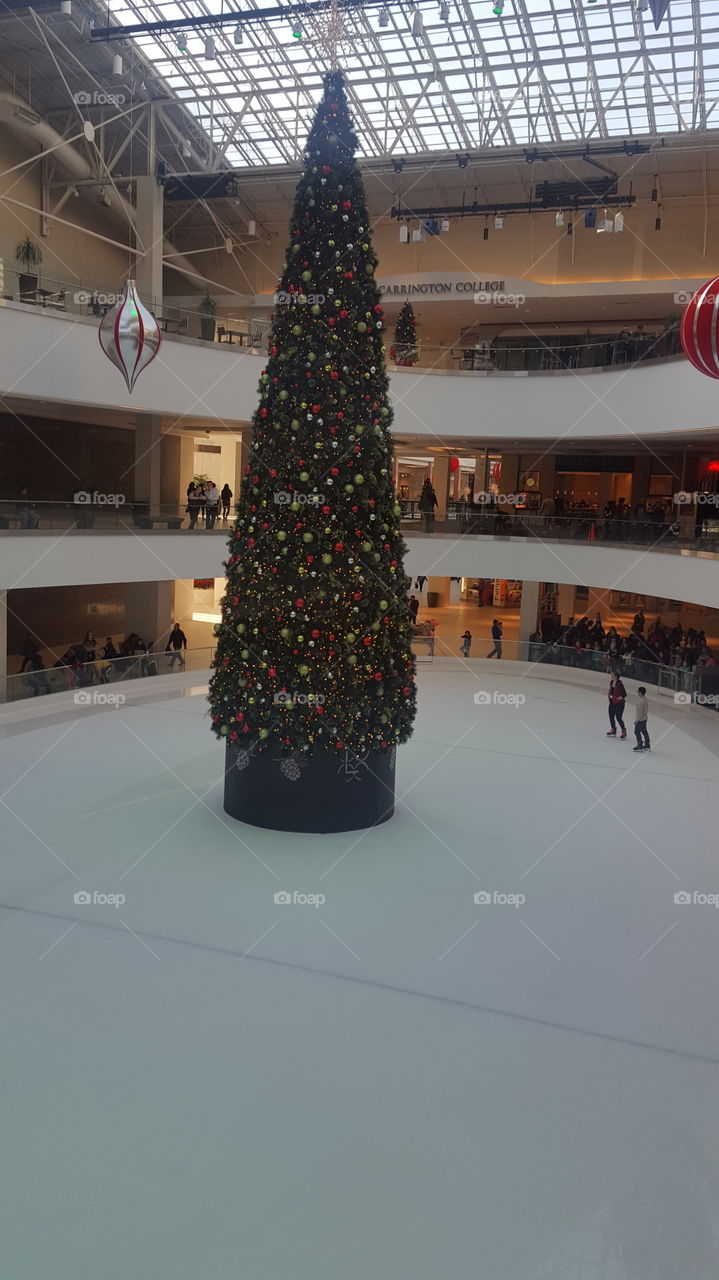 Christmas tree in the middle ice ring
