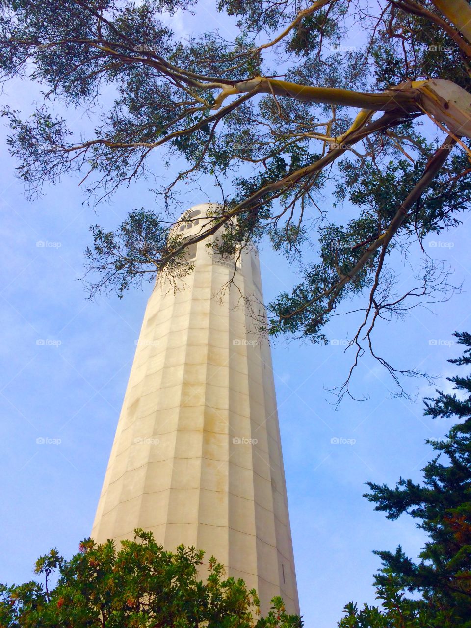 Coit tower. San Francisco 