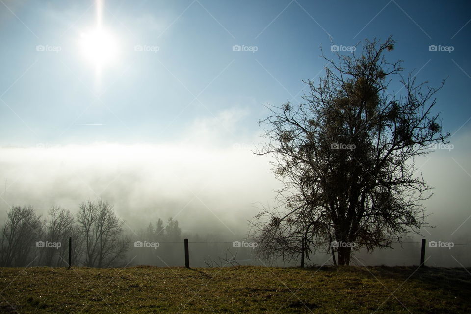 the sun is fighting against the fog in toggenburg, switzerland