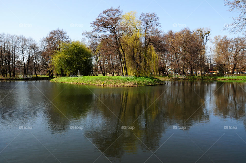 Reflection of trees on lake