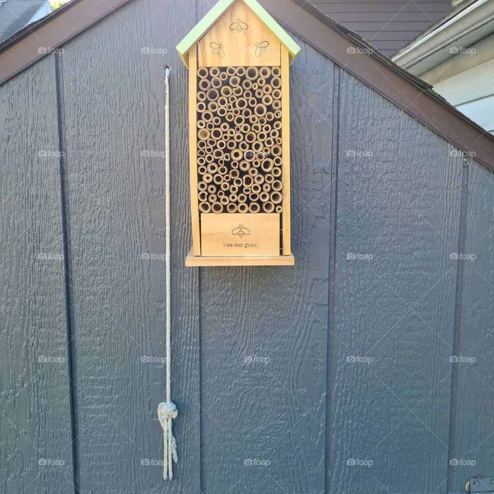 pollinators home