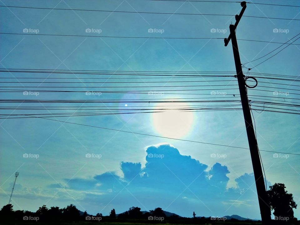 Sky, tree, field , field rice