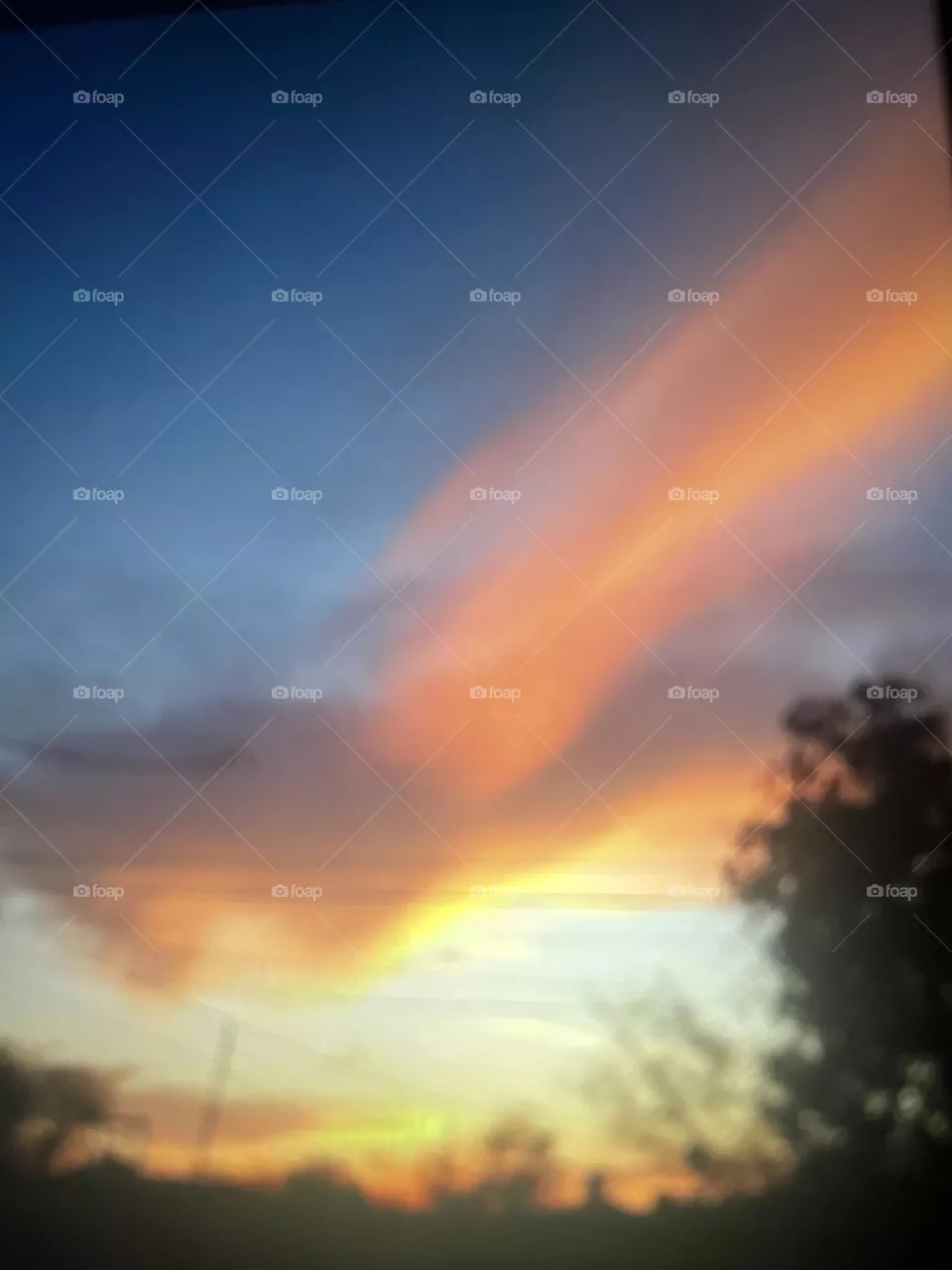 Phoenix Skies