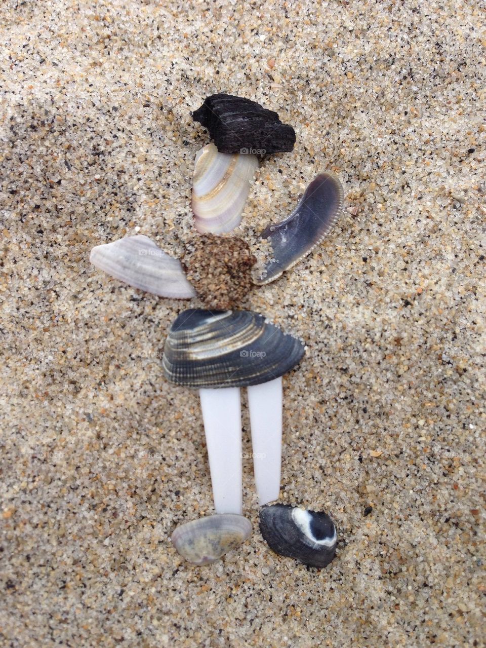 Beach Art. Shells from the sand 