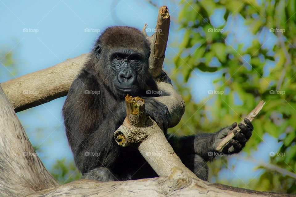 What can I do with this stick?